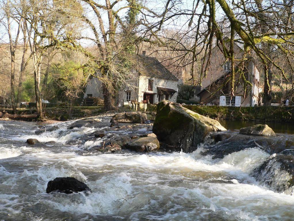 Moulin Des Templiers Hotel & Spa Pontaubert Bagian luar foto